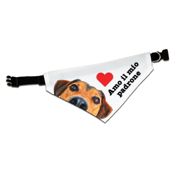 Collare bandana personalizzato per cane